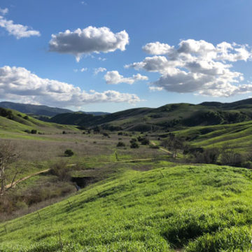 Rep. Cisneros Calls Out State Park