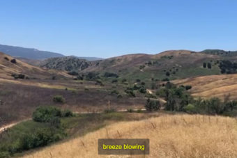 Chino Hills State Park Re-Opens