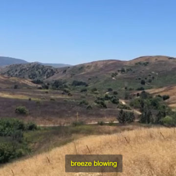 Chino Hills State Park Re-Opens