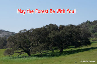 May the Fourth Be With You