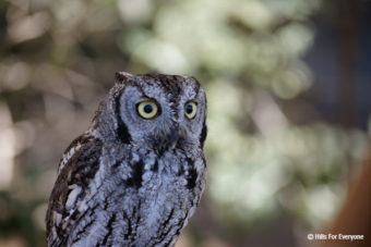 Rodenticide Ban Bill Passed!