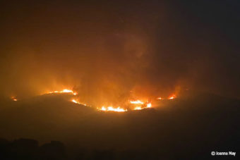 Wildfire Science Evolves, Policies Should Too