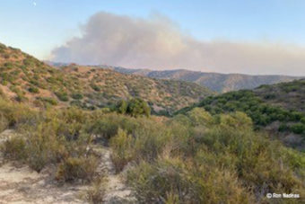 Blue Ridge Fire Ignites in YL