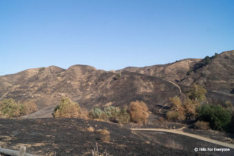 Virtual Hike in Chino Hills State Park