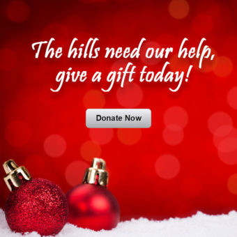 End of the Year Campaign!