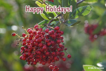 Happy Holidays!