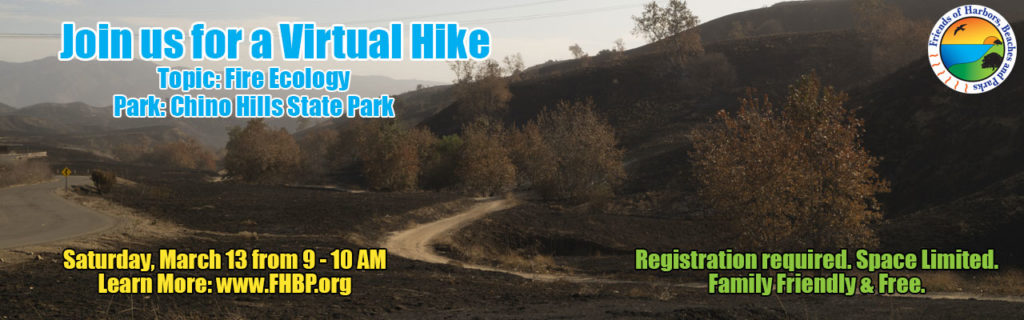 A charred landscape with an invitation to join a virtual hike in Chino Hills State Park on March 13th from 9 - 10 AM with a focus on Fire Ecology and registration links to: www.FHBP.org