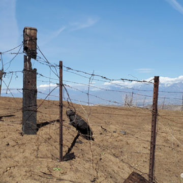 Barbed Wire Removal Gets Press