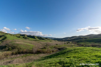 CA Oaks Features HFE