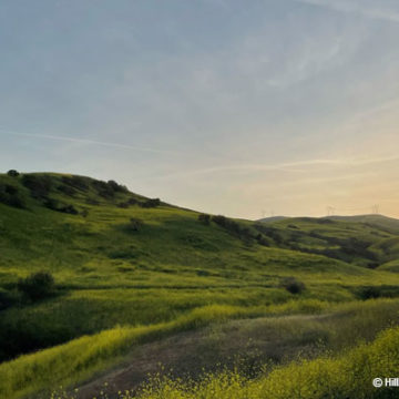 Chino Hills State Park