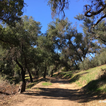 Trail Closure Schedule