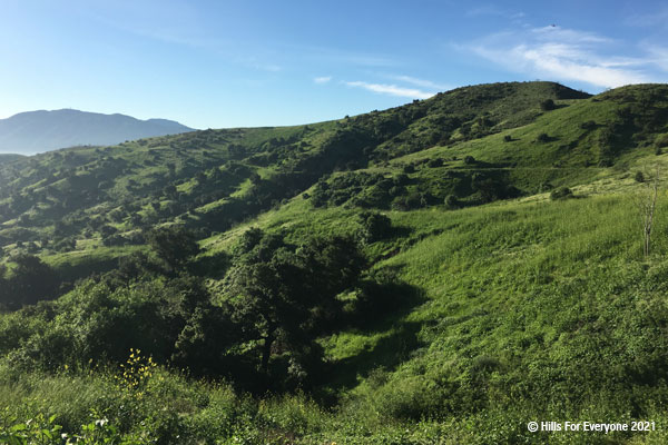 Blue skies with scattered clouds above meets steeply sloped hillsides covered in green grass with scattered vegetation throughout.