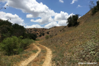 Chino Champion Covers Conservation Funding