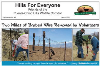 Spring 2021 Newsletter