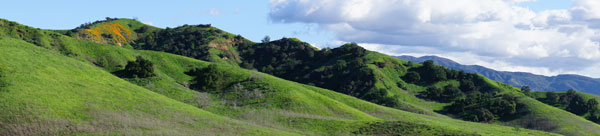 Vibrant green hillsides with multiple tiered ridgelines as the focal point and a rich layer of poppies blooming on one hillside against a medium blue sky and grey/white clouds creeping in on the right.
