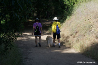 June E-Newsletter Released