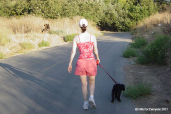 Dogs on the Trail (or Not)