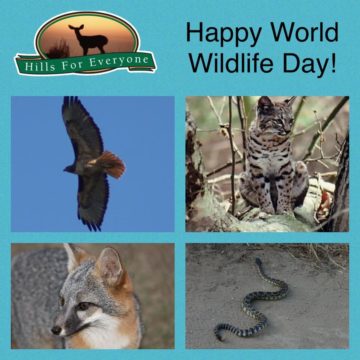 Wildlife Day!