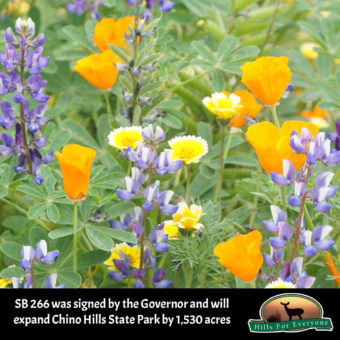 Chino Hills State Park to Grow