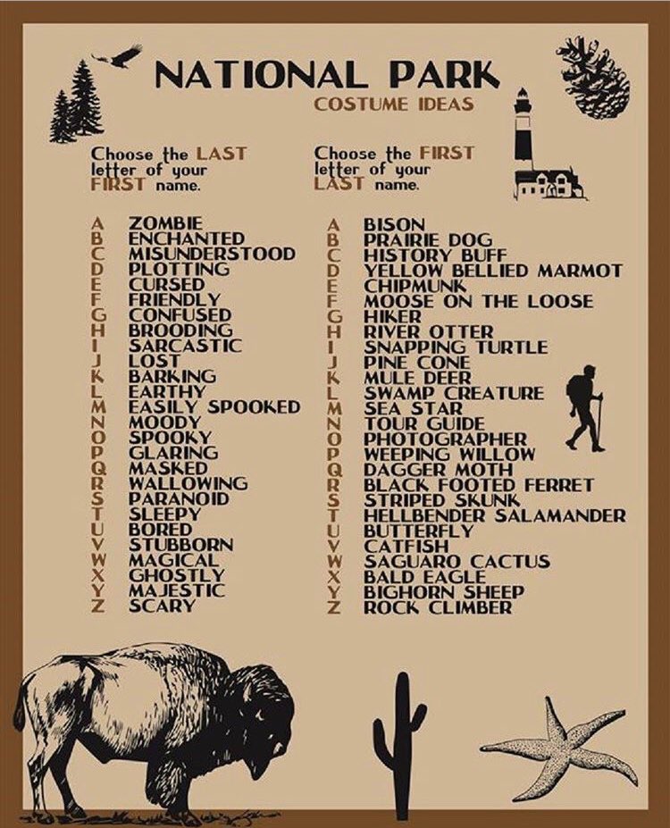 The title reads: National Park Costume Ideas and the options include a list A to Z using your first and last name to determine your costume name with icons of birds, bison, trees, and more against a brown background and darker brown frame.