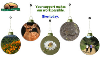 Donate by 12/31