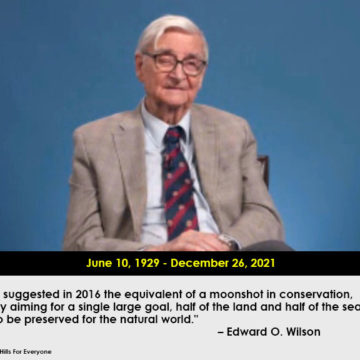 Loss of Dr. E.O. Wilson