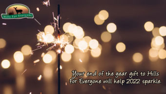 Help Make 2022 Shine!