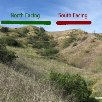 North vs. South Facing