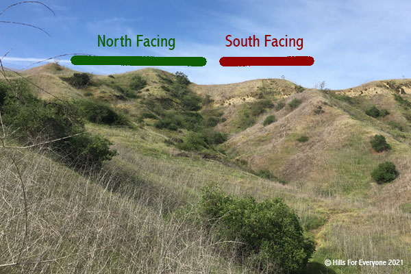 North vs. South Facing
