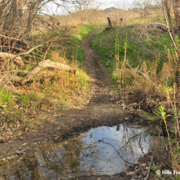 Why Trails Close Due to Rain