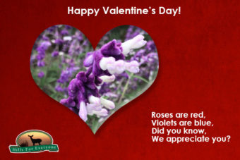 Valentine’s Day Thanks
