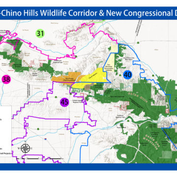 New Redistricting Maps