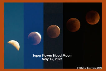 Super Flower Blood Moon