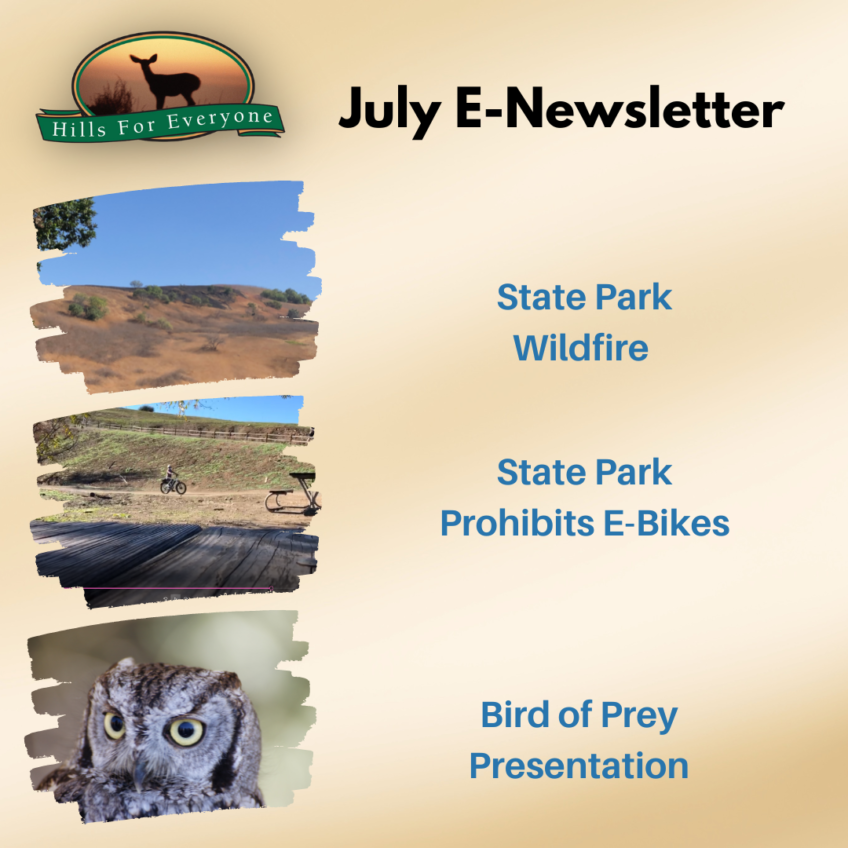 July E-Newsletter