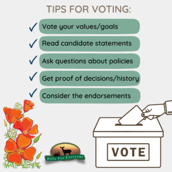 Tips for Voting