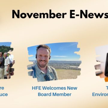 November E-Newsletter