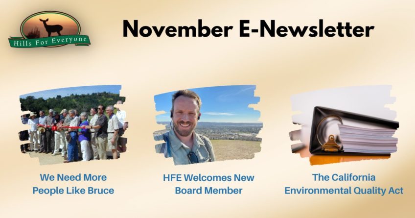 November E-Newsletter