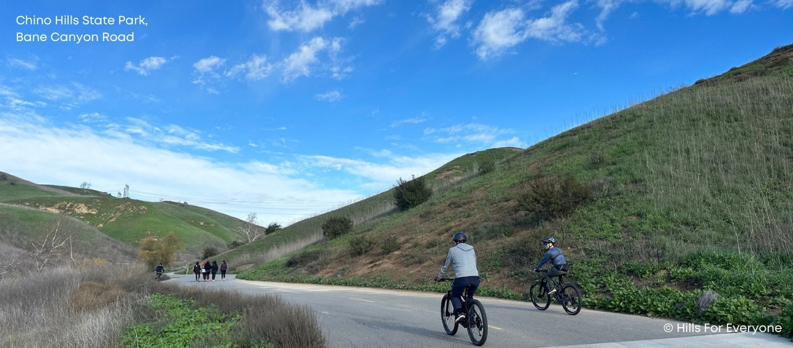 Mountain Bikers and Hikers