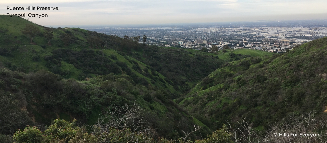 Turnbull Canyon