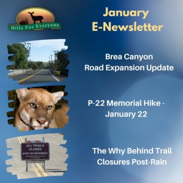 January E-Newsletter