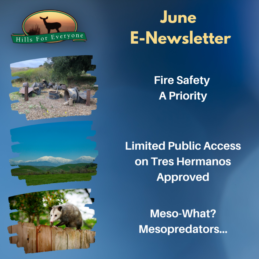 June E-Newsletter