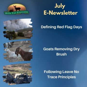 July E-Newsletter