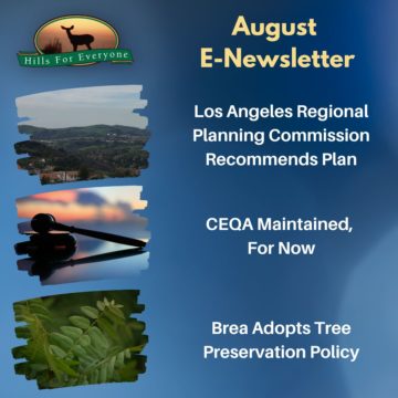 August E-Newsletter