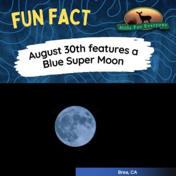 Blue Super Moon