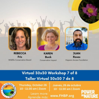 Workshop on Oct. 26th