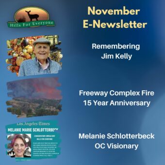 November E-Newsletter