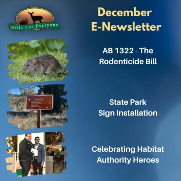 December E-Newsletter