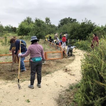Earth Day at Chino Hills State Park