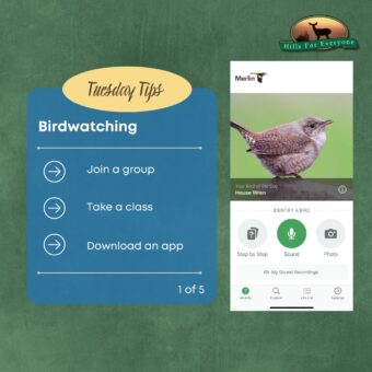 Birdwatching Tip 1 of 5