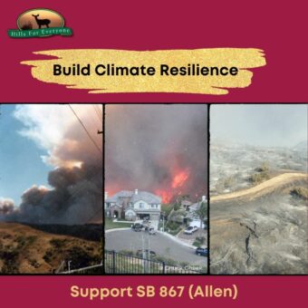 Climate Bond Now Campaign
